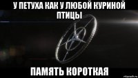 у петуха как у любой куриной птицы память короткая