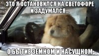 это я остановился на светофоре и задумался... о бытие земном и насущном