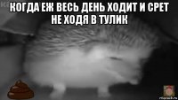 когда еж весь день ходит и срет не ходя в тулик 