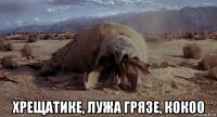  хрещатике, лужа грязе, кокоо