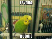 группа budgie
