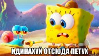  идинахуй отсюда петух