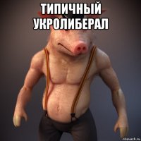 типичный укролиберал 