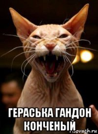  гераська гандон конченый