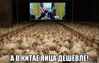  а в китае яйца дешевле!