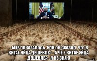  - мне показалось, или он сказал, что в китае яйца дешевле? - а чё в китае яйца дешевле? - я не знаю
