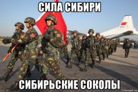 сила сибири сибирьские соколы