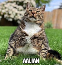  aalian