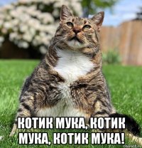  котик мука, котик мука, котик мука!