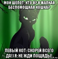 мой шёпот: кто я? я жалкая беспомощная кошка? левый кот: скорей всего да!) я: не жди пощяды!