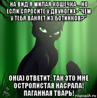 на вид я милая кошечка... но если спросите у двуногих- "чем у тебя ваняет из ботинков?" он(а) ответит: так это мне остролистая насрала! паганная тварь!