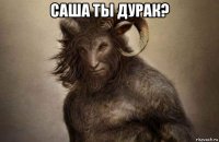 саша ты дурак? 