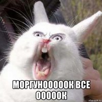  моргунооооок все ооооок