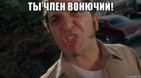 ты член вонючий! 