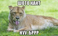шото какт нуу..бррр