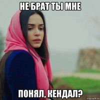 не брат ты мне понял, кендал?