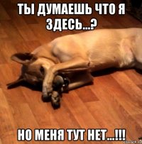 ты думаешь что я здесь...? но меня тут нет...!!!