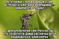 летит комар с перевязанным х@ем. встречает его мотылек и спрашивает: - комарик, что с тобой? - да вчера вечером, смотрю в кустах что-то светится, думал светлячок, хотел побаловаться... блин окурок.