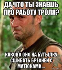 да что ты знаешь про работу троля? каково оно на бутылку сшибать брехней с матюками....