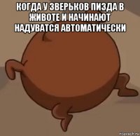 когда у зверьков пизда в животе и начинают надуватся автоматически 