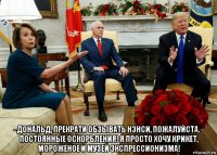  - дональд, прекрати обзывать нэнси, пожалуйста. - постоянные оскорбления! я просто хочу крикет, мороженое и музей экспрессионизма!