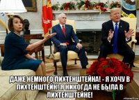  даже немного лихтенштейна! - я хочу в лихтенштейн! я никогда не была в лихтенштейне!