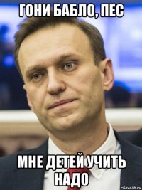 гони бабло, пес мне детей учить надо