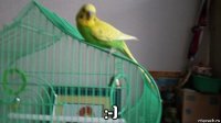  :-)