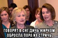 говорят в снг дичь жирком обросла пора их стричь