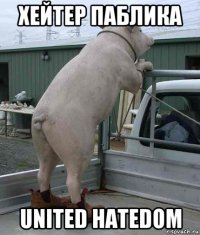 хейтер паблика united hatedom