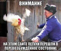 внимание на этом сайте петухи перешли в перевозбуждённое состояние