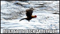  летел бы ты отсюда петушок