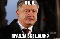 а шо, правда всё шоли?