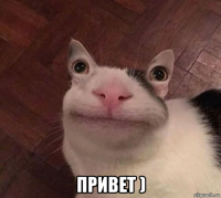  привет )