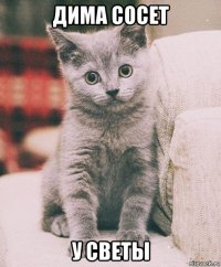 дима сосет у светы