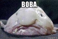вова 