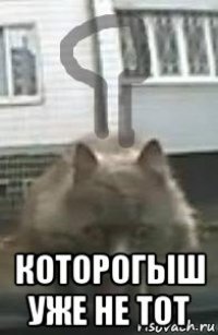  которогыш уже не тот