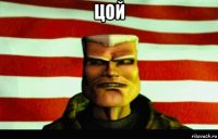 цой 