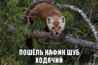  пошёль нафик шуб ходячий