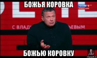 божья коровка божью коровку