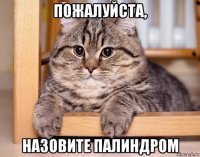 пожалуйста, назовите палиндром