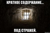 краткое содержание... под стражей.