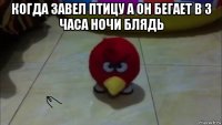когда завел птицу а он бегает в 3 часа ночи блядь 