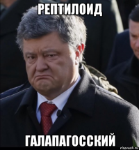 рептилоид галапагосский