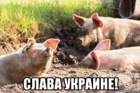  слава украине!