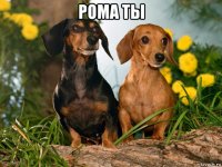 рома ты 