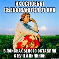 их ослоебы сьебываются от них в поисках белого оставляя с кучей личинок