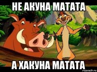 не акуна матата а хакуна матата