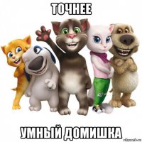 точнее умный домишка