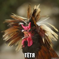  тётя